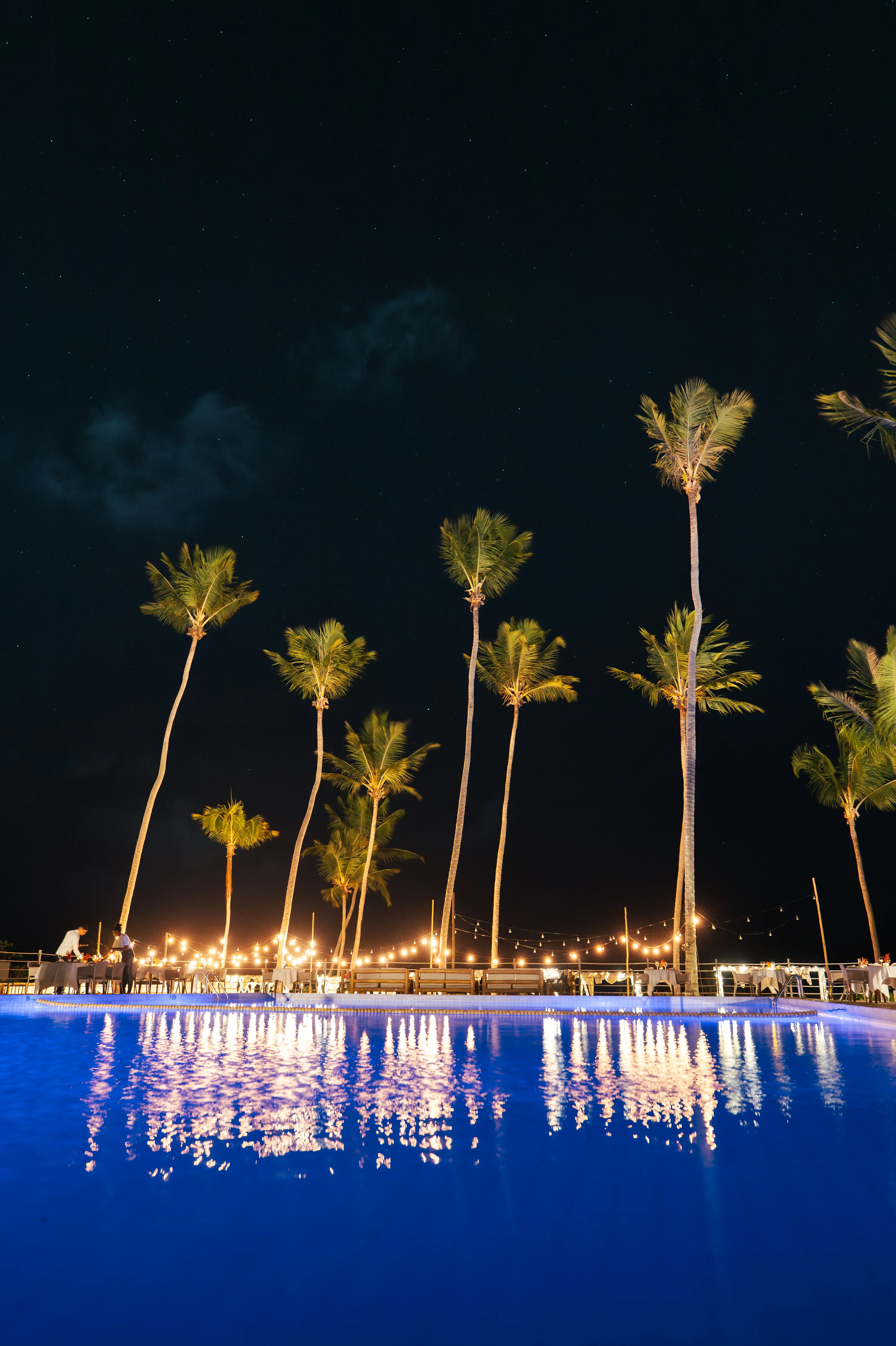 Coqueiros iluminados no Vivari Beach Club durante a noite